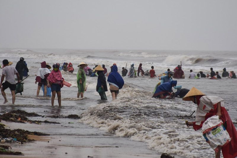 Hà Tĩnh:  Biển động đánh vẹm dạt vào bờ, cả làng đổ xô đi vớt