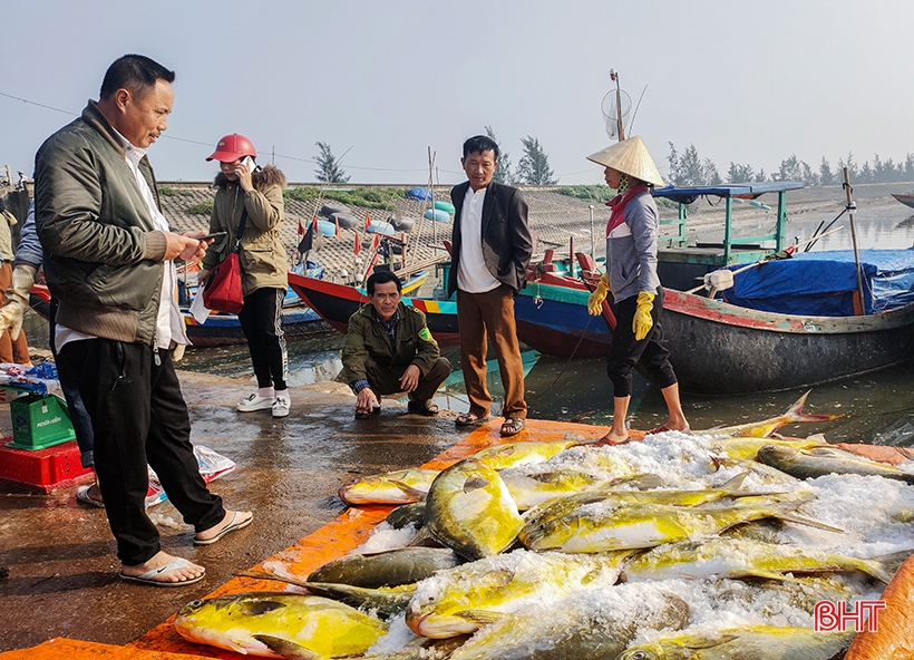 Ngư dân Hà Tĩnh thu 600 triệu đồng sau một đêm buông lưới